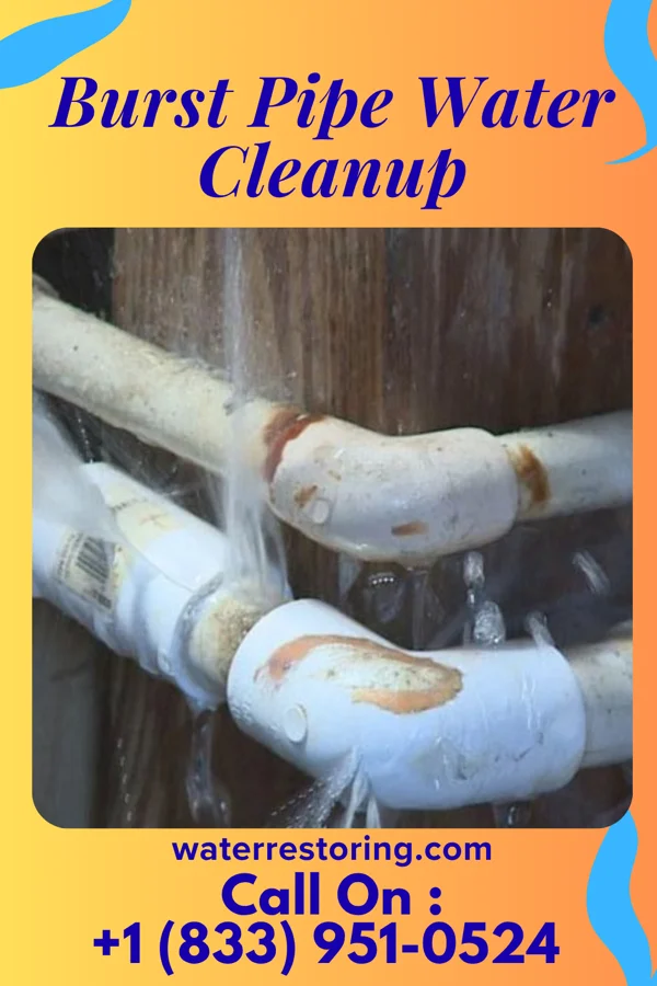 Burst Pipe Water Cleanup in Williamsport, IN