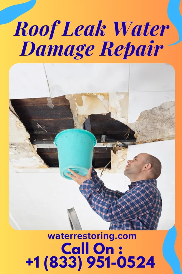 Roof Leak Water Damage Repair in Williamsport, IN