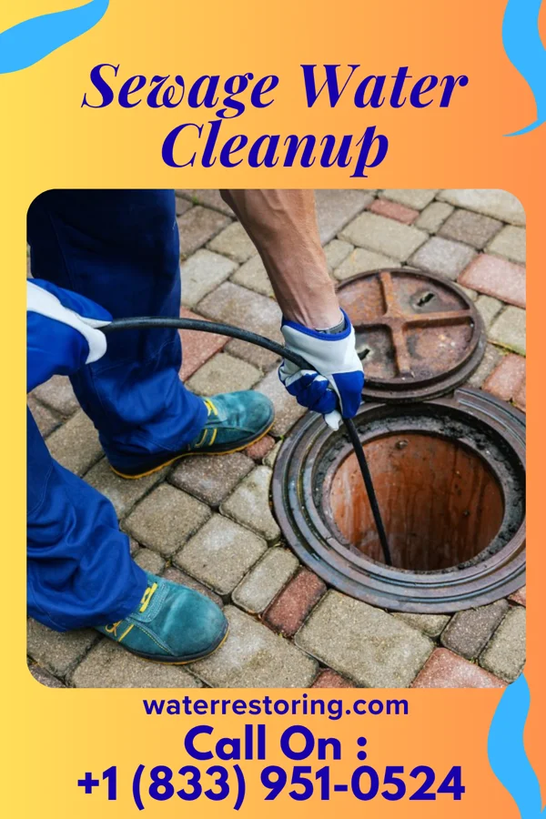 Sewage Water Cleanup in Williamsport, IN